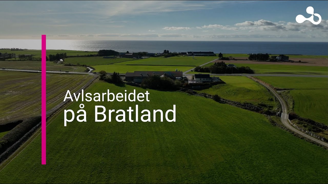 2.4 Avlsarbeidet på Bratland