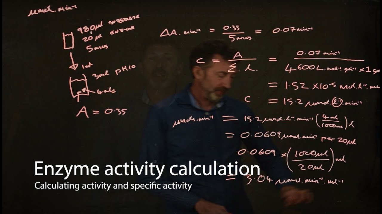 Enzyme calculations - enzyme activity and specific activity