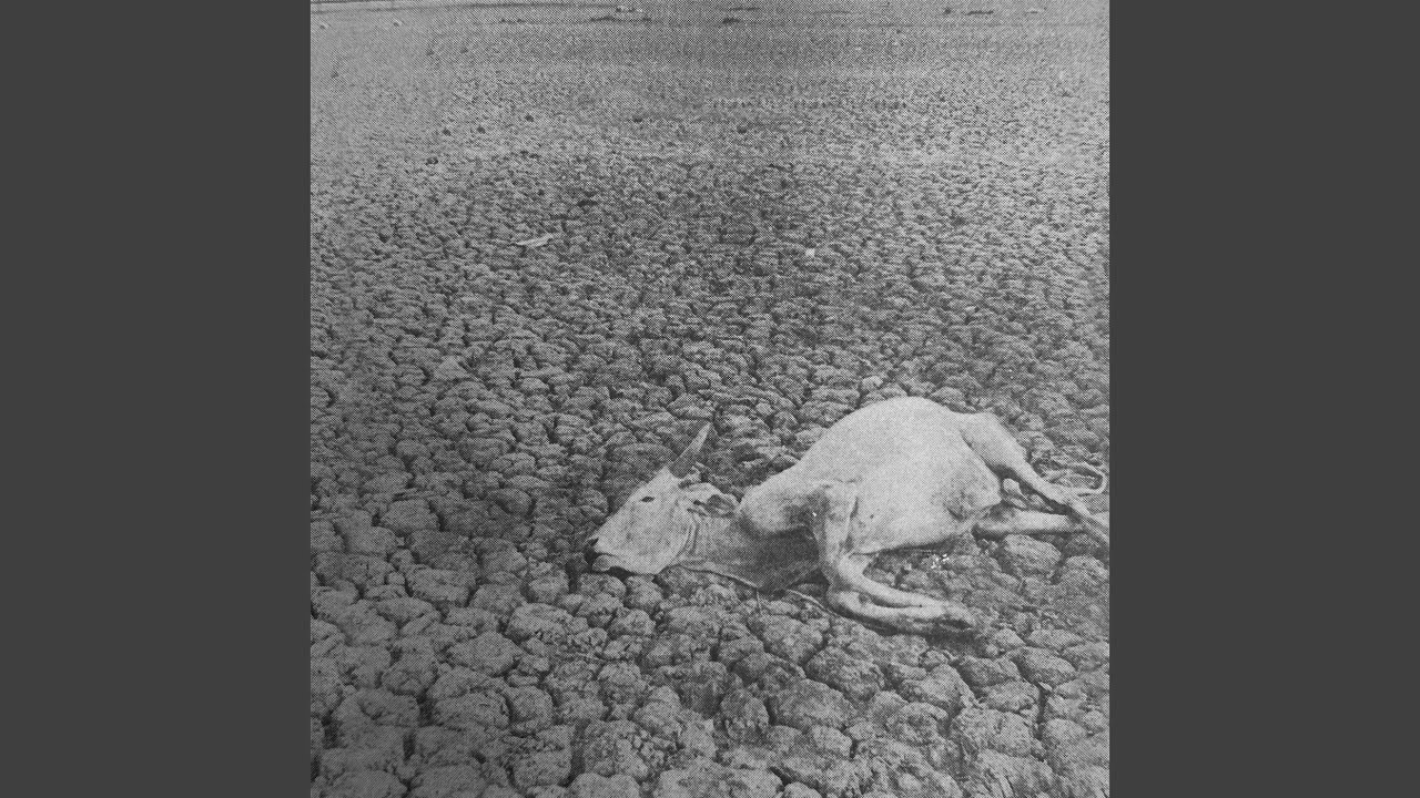 Despondent