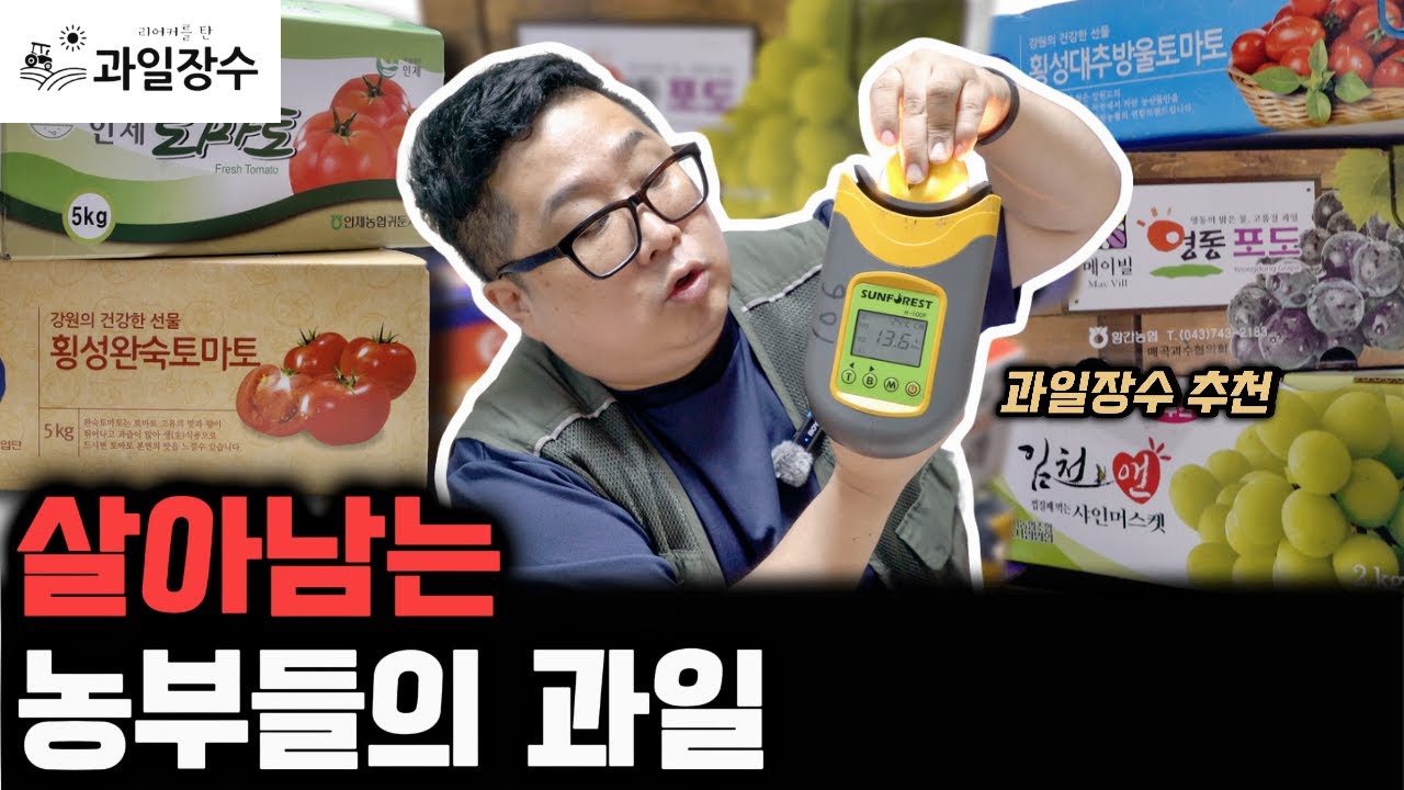 1등 찍는 과일들을 소개합니다