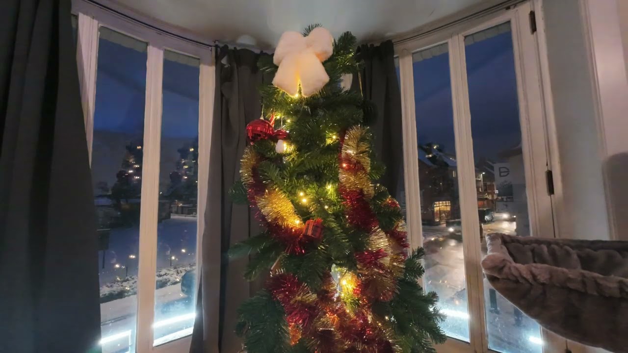 Snowy day - Christmas tree Timelapse