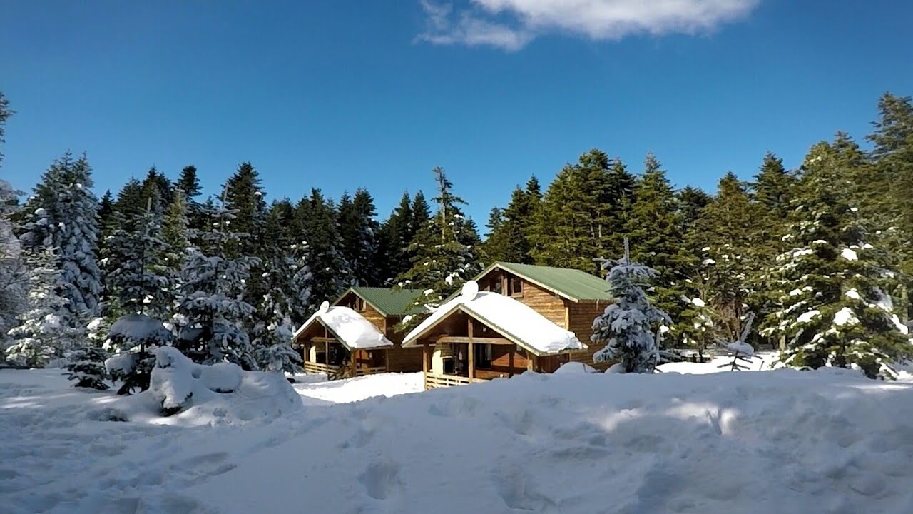 ULUDAĞ SARIALAN ORMAN KÖŞKLERİ