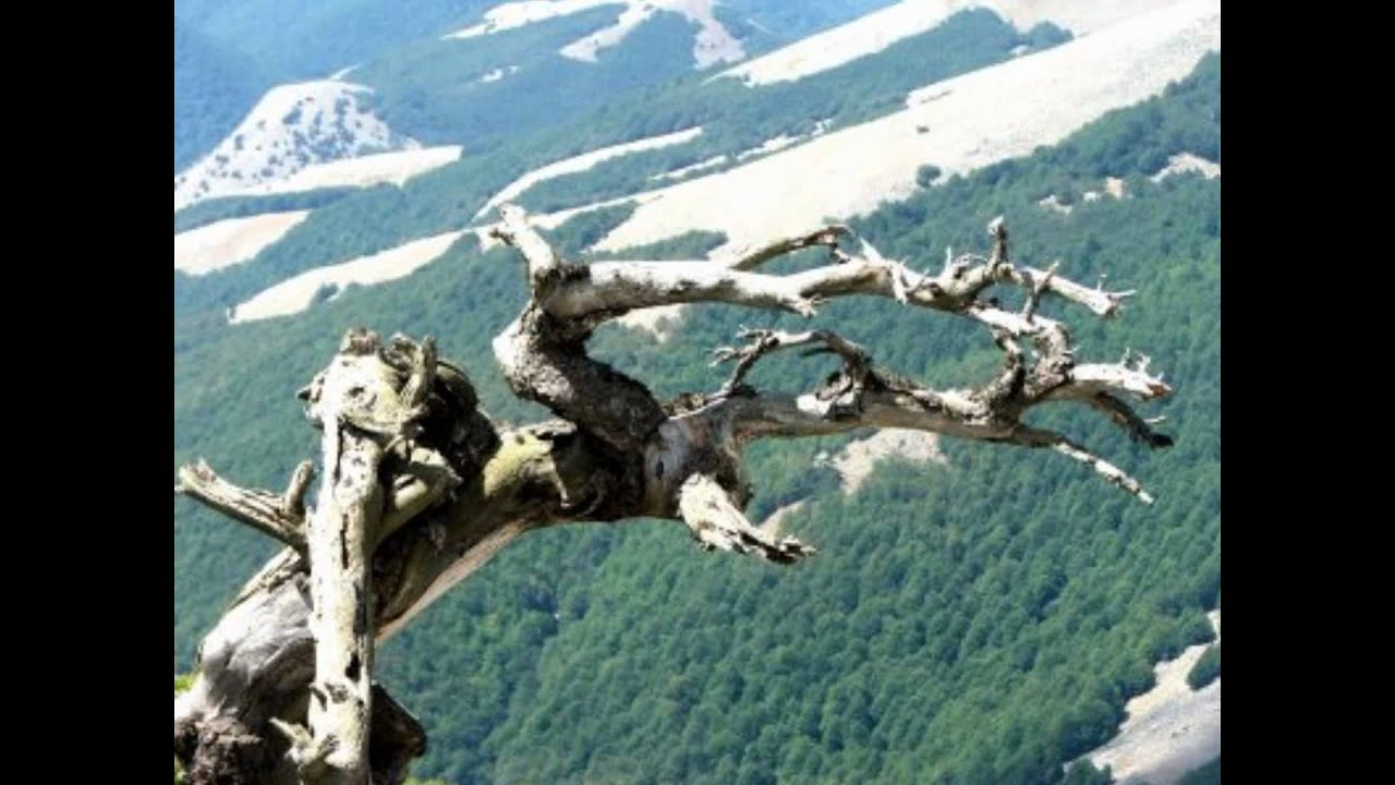 Aggi vinuti da lunga via - Canti del Pollino