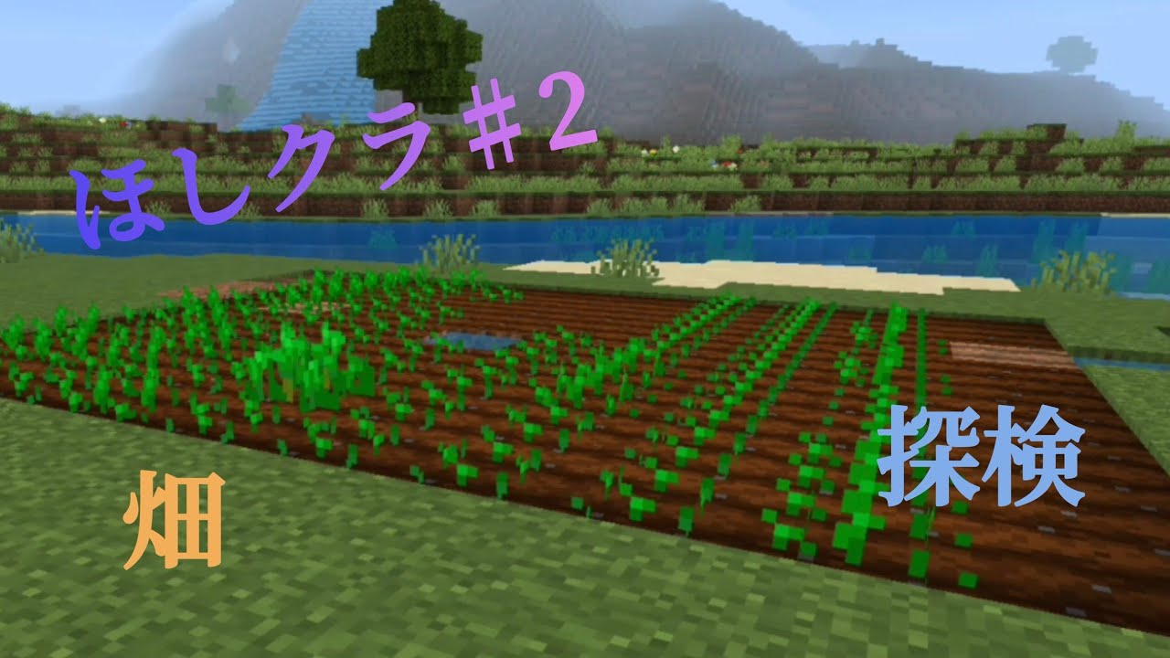 [マインクラフト]ほしクラ♯2畑作りそして探検