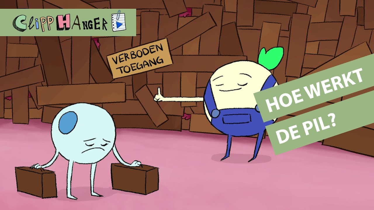 Hoe werkt de pil?