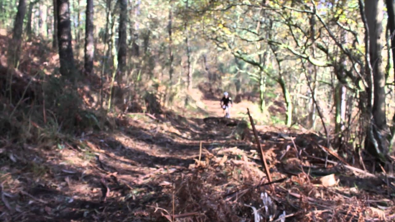 THC Bike Riders - Mury