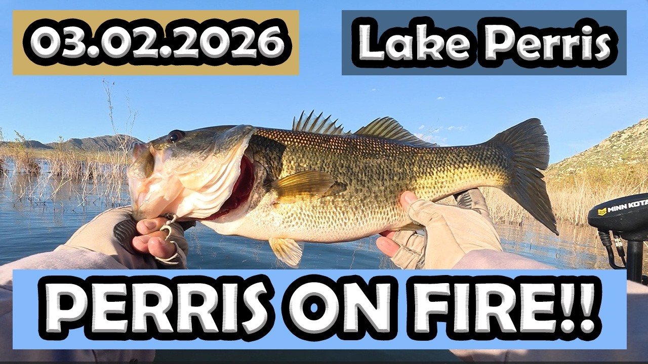 Lake Perris: 27 Bass, 2.5 HOURS!