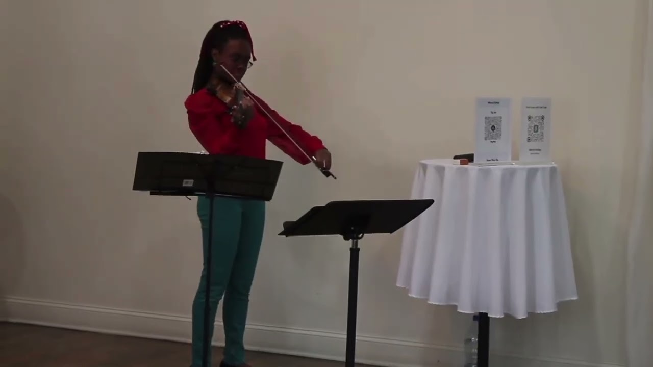 You’re a Mean One, Mr. Grinch - Lindsey Stirling - Violin Cover - Live at a Christmas Party