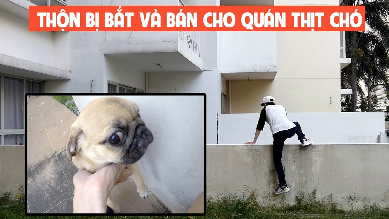 THỘN Ở NHÀ MỘT MÌNH - PHẦN 5: THỘN MẤT TÍCH