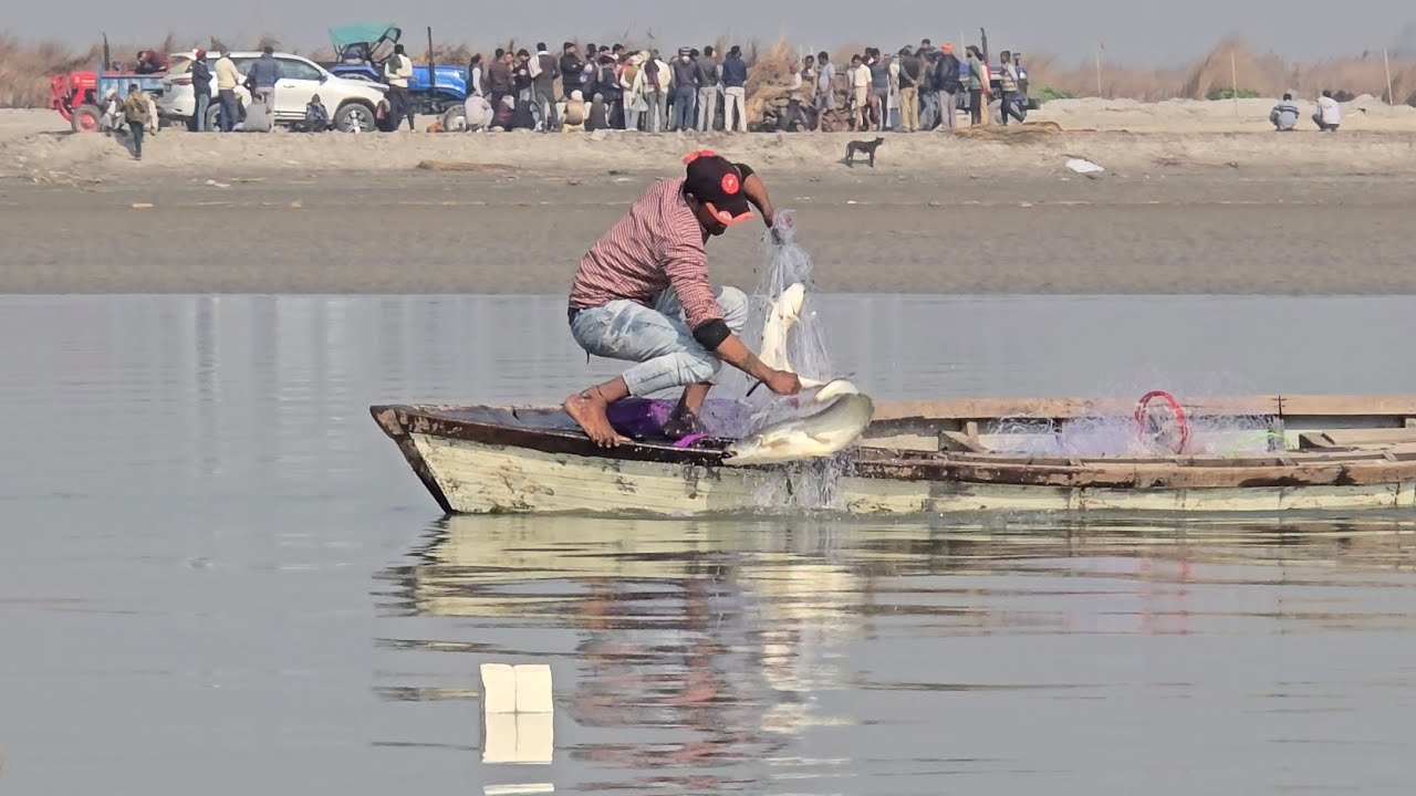 Method of catching fish by floating net in river Ganga #fishhunting2 #machli #Netfishing 