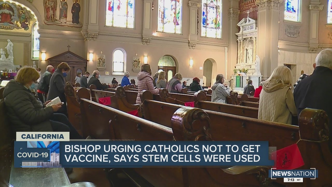 Bishop urging Catholics not to get vaccine, says stem cells were used