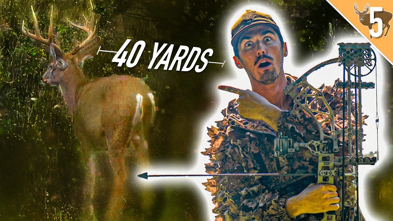 BOW RANGE of BIG Bedded Buck - Hybrid Whitetail/ MULE Deer?!?