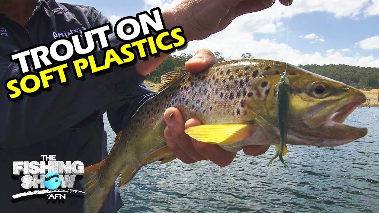 High Country Trout on Soft Plastics
