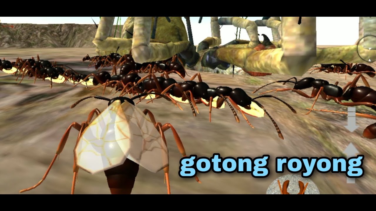 mode sanbox ant simulation 3D.