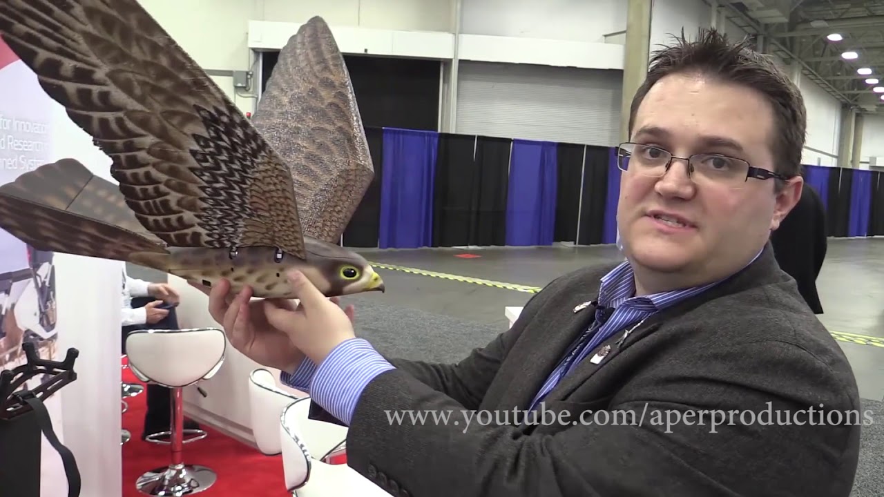 URI MOVIE GARUD IN REAL LIFE | RO-BIRD DRONE | URI MOVIE DRONE