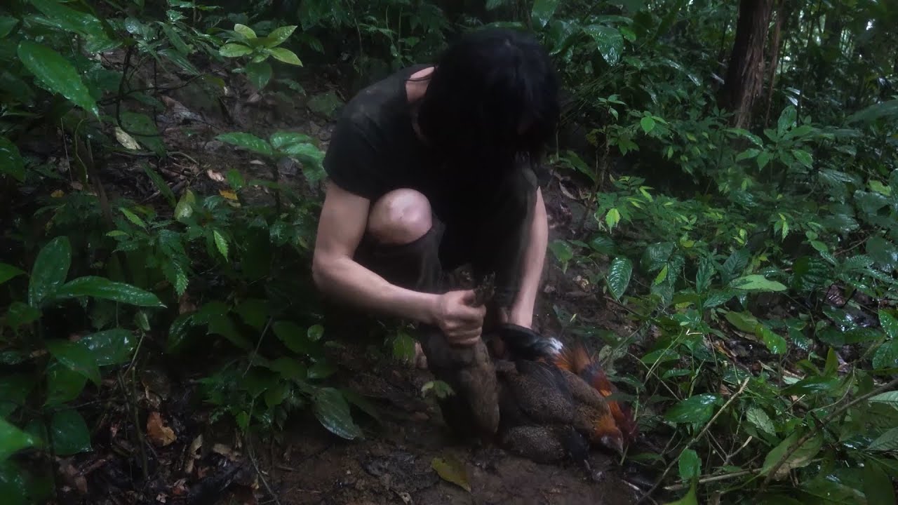 A lucky day with many wild chickens harvested, Wilderness Alone, Episode 50