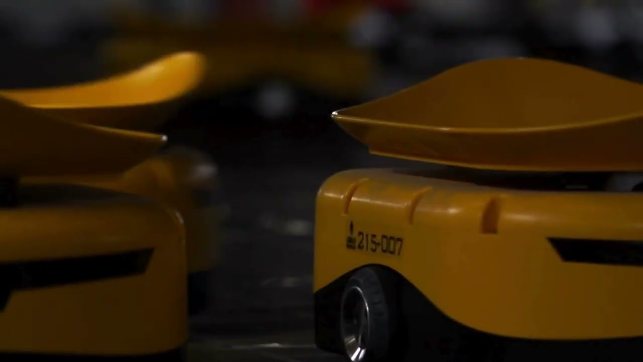 How DPD Estonia Supercharged Parcel Sorting with Libiao&rsquo;s Robots! 🚀📦