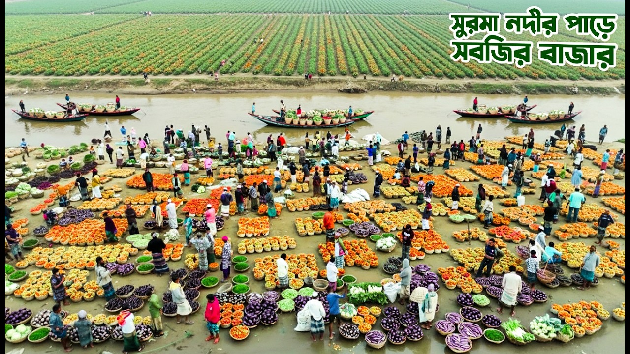 সিলেটের কানাইঘাটে সুরমা নদীর পাড়ে বিখ্যাত সবজির বাজার | Kanaighat Vegetable Market | Sylhet