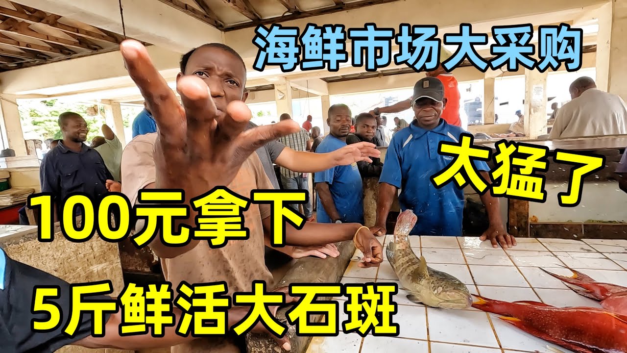 100块拿下5斤鲜活大石斑鱼！非洲海鲜市场全是猛货，太爽了