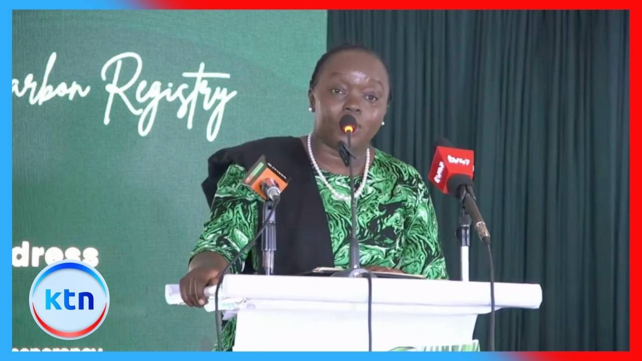 CS Deborah Barasa says Africa’s carbon market entering new phase amid global emissions rules