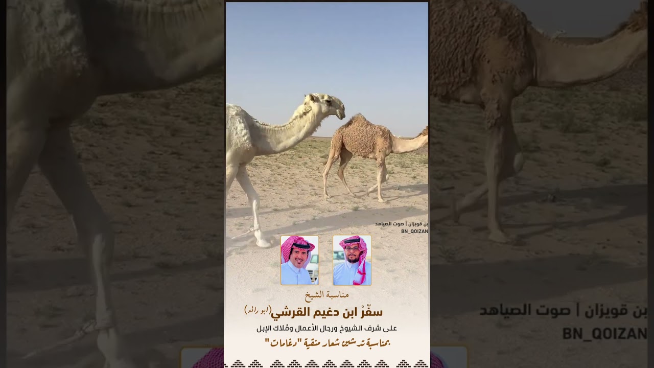 تدشين شعار منقية (دغامات) للشيخ : سفرْ ابن دغيم القرشي (ابو رائد) 2024