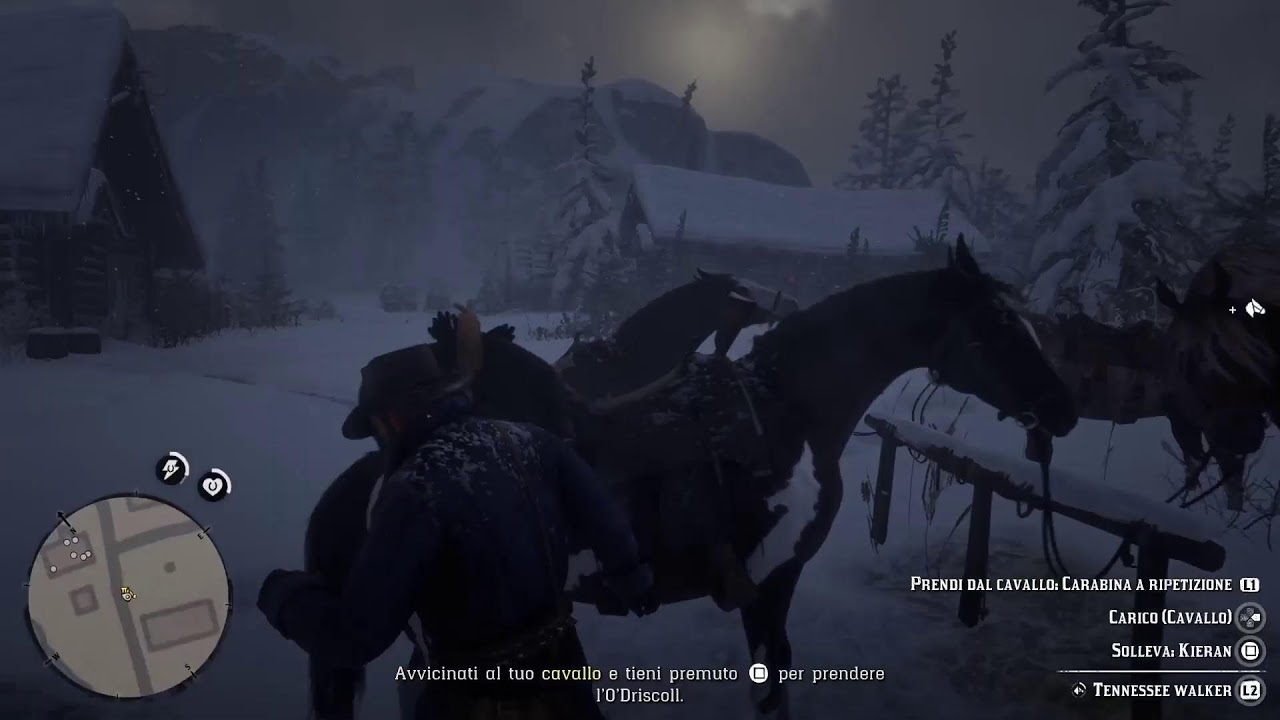 Red dead Redemption II