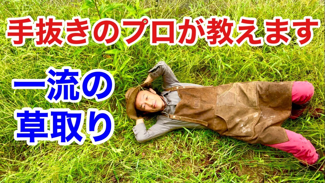 【これが一流】効率的かつ効果的な雑草対策教えます　　　　　　【カーメン君】【園芸】【ガーデニング】【初心者】