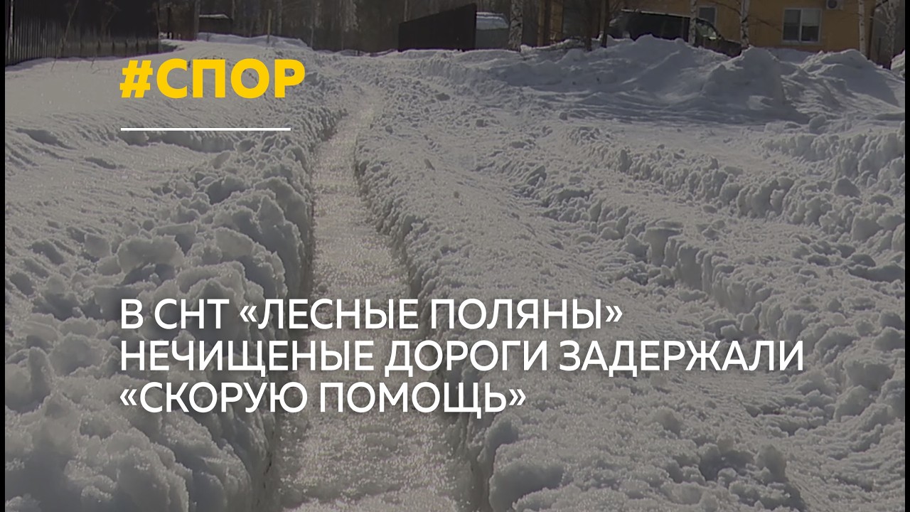 В СНТ 