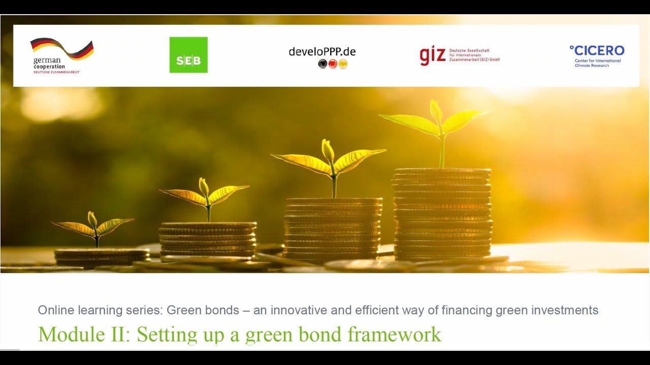 Green bond online learning series &ndash; Module 2: Setting up a green bond framework