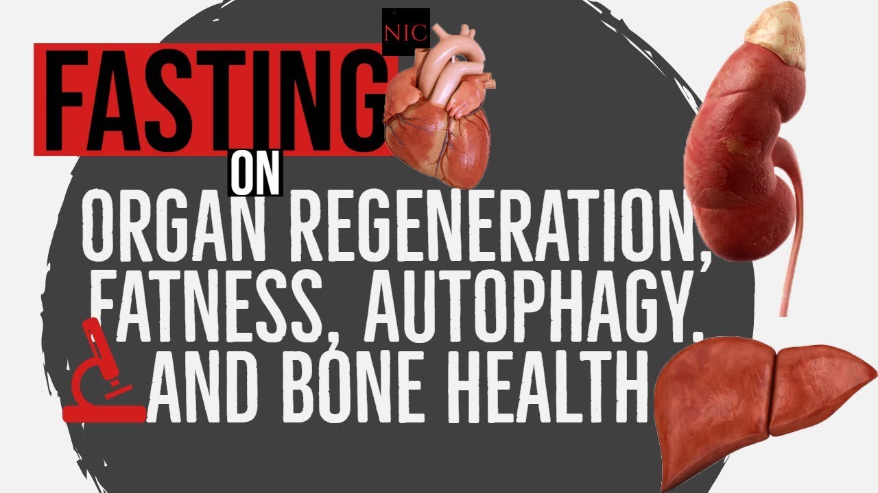 EX: Fasting on Organ Regeneration, Fatness, Autophagy, & Bone Health