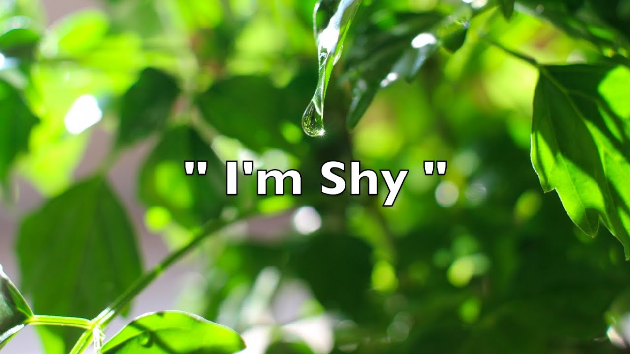 I'm Shy - Jo-Ed (Official Audio)
