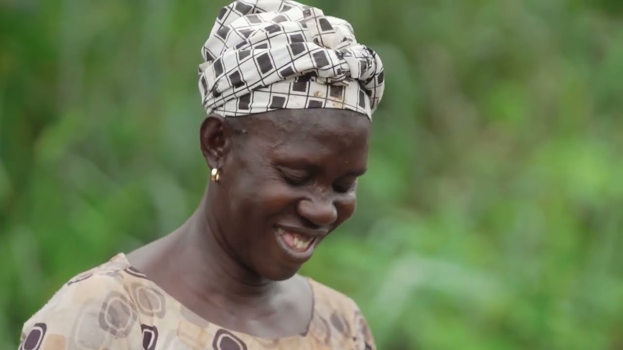 How Afarinick is Helping Convert Ghana's Cocoa Farms into Sustainable Cocoa Agroforestry