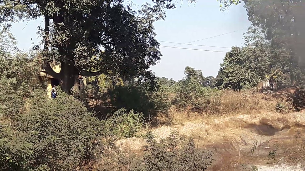 Electrical accident with trailer on 11KV line