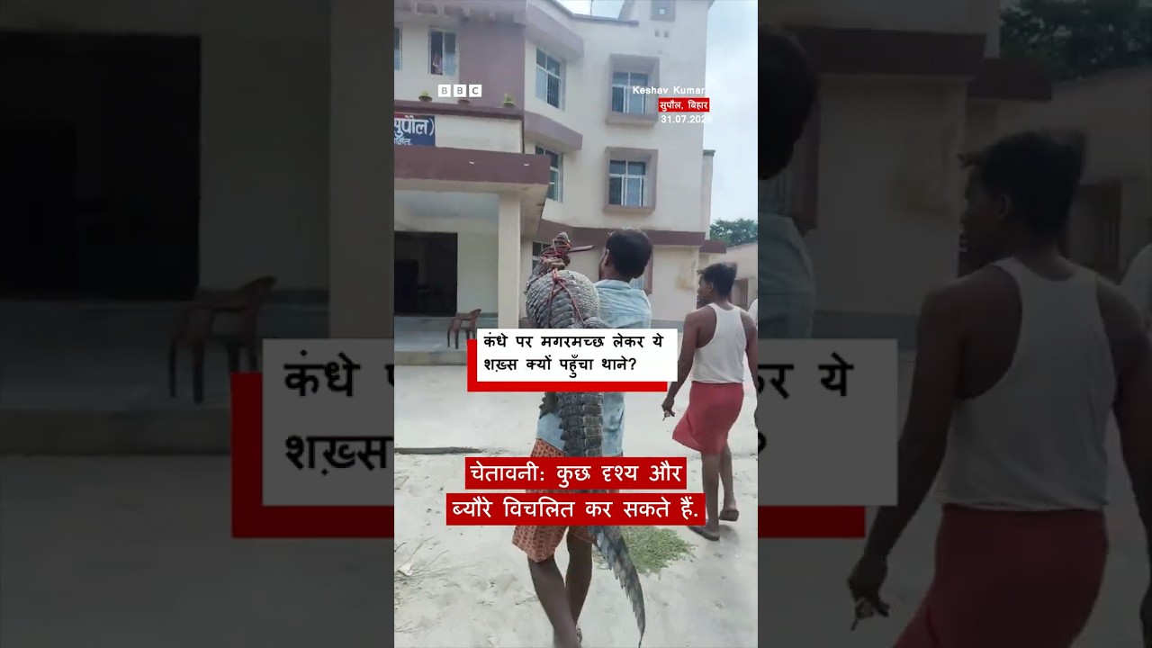 Bihar में Crocodile को कंधे पर उठाकर ये शख़्स पहुँचा थाने । (BBC Hindi)