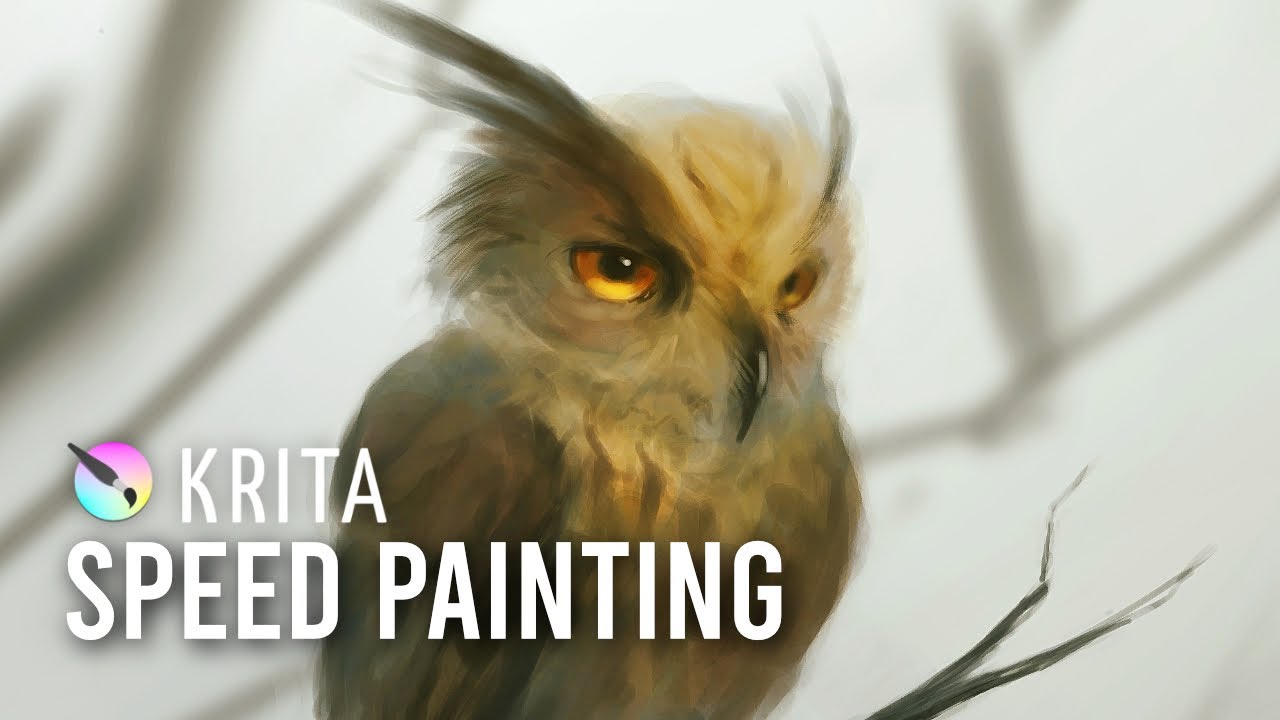Krita - Owl SpeedPaint - Digital Painting