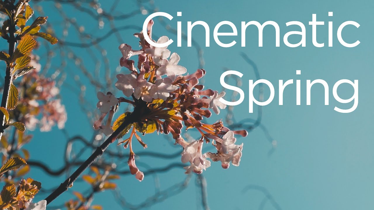 Spring Cinematic | Sony a6500 + Vintage Lens