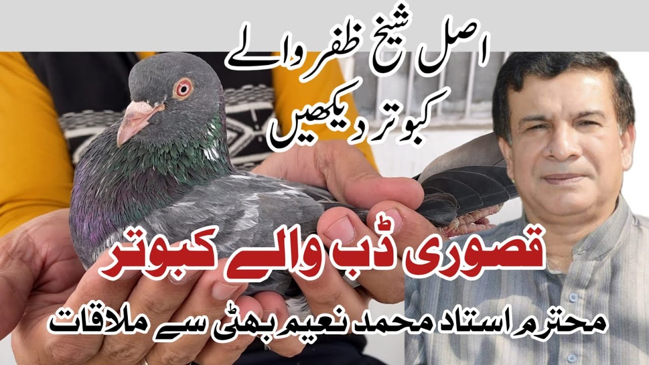 Dab Walay Kabootar by Naeem Bhatti