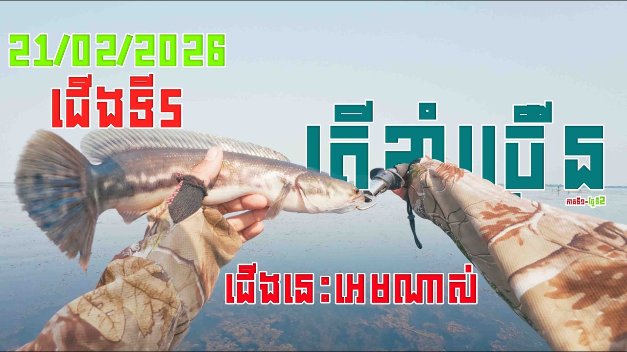 ជើងទី5​|បឹងទន្លេសាប|ត្រីរស់ធំណាស់​ |Snakehead|FishingSnakeheadAtTonle Sap Lake |21.02.2026
