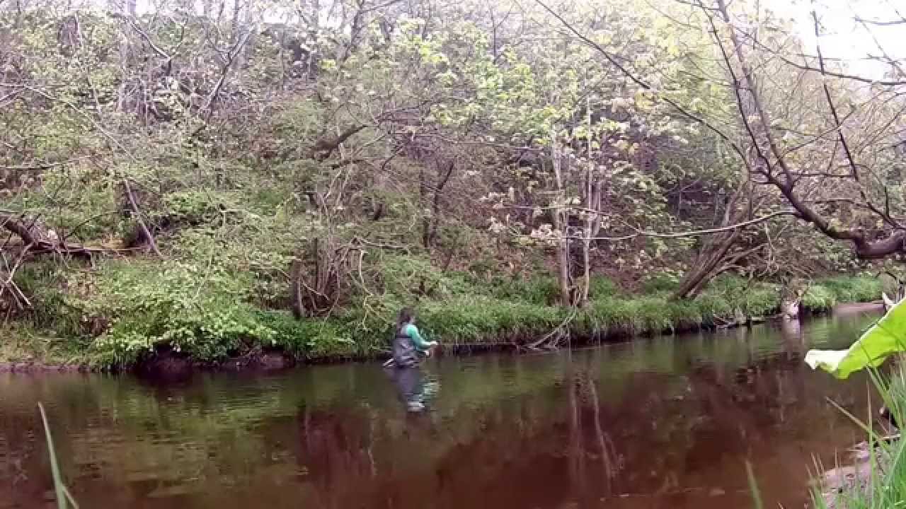 The River Esk