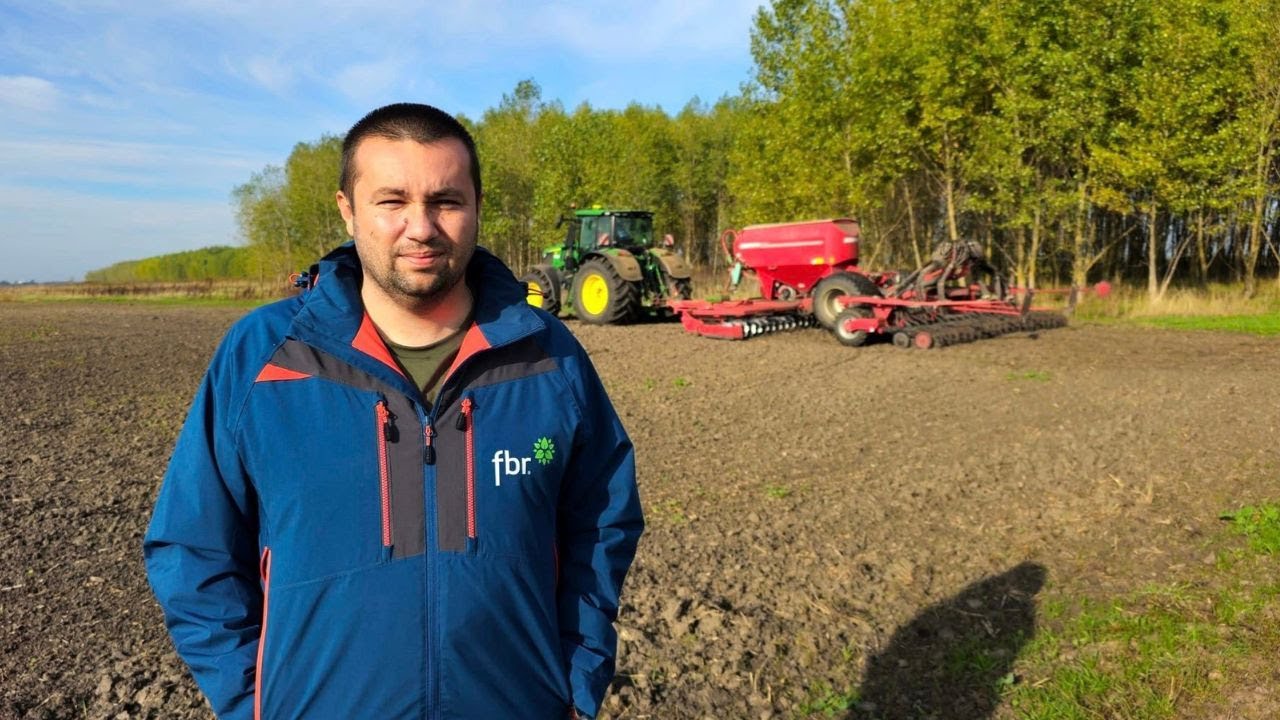 Grâu semănat în sol discuit