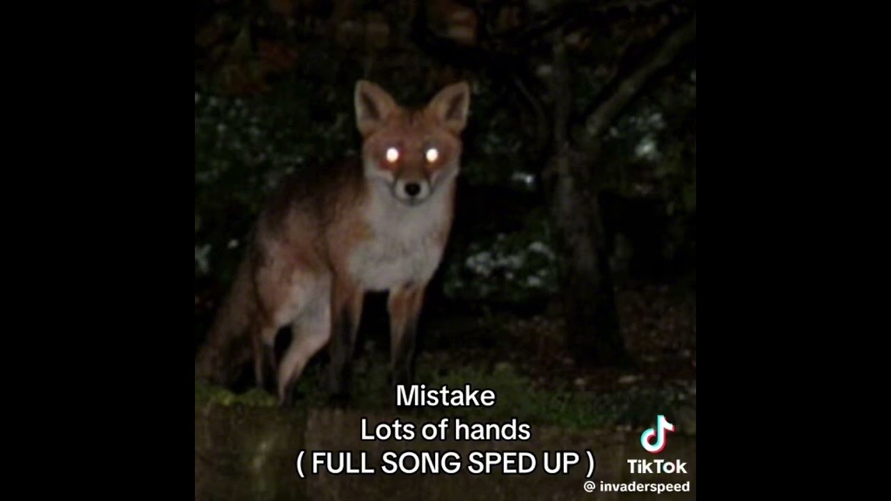MISTAKE LOTS OF HANDS ULTRA SLOWED 