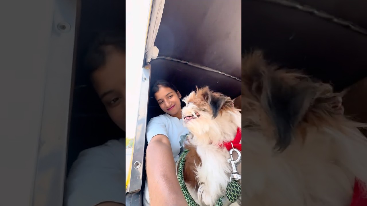 Mini vlog🥰🐶 #kannada #comedy #minivlog #davanagere #banglore #mysore #lifeisbutadream #chitradurga
