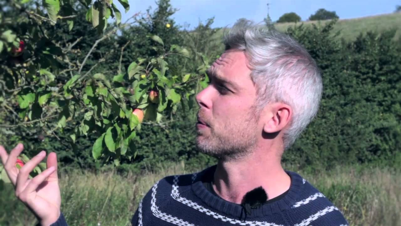 Richard Stone and Sam Willis on the history of cider