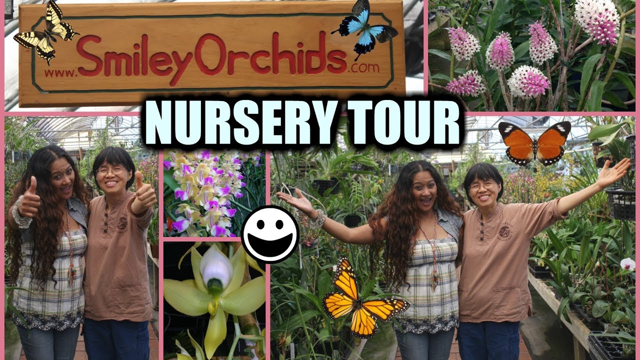 SMILEY'S ORCHID NURSERY - Hunting Adventure & Tour!