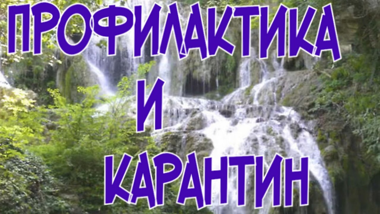 ПРОФИЛАКТИКА и КАРАНТИН ДИСКУСОВ.  Пруд Остается прозрачным даже 43 градусном жаре.