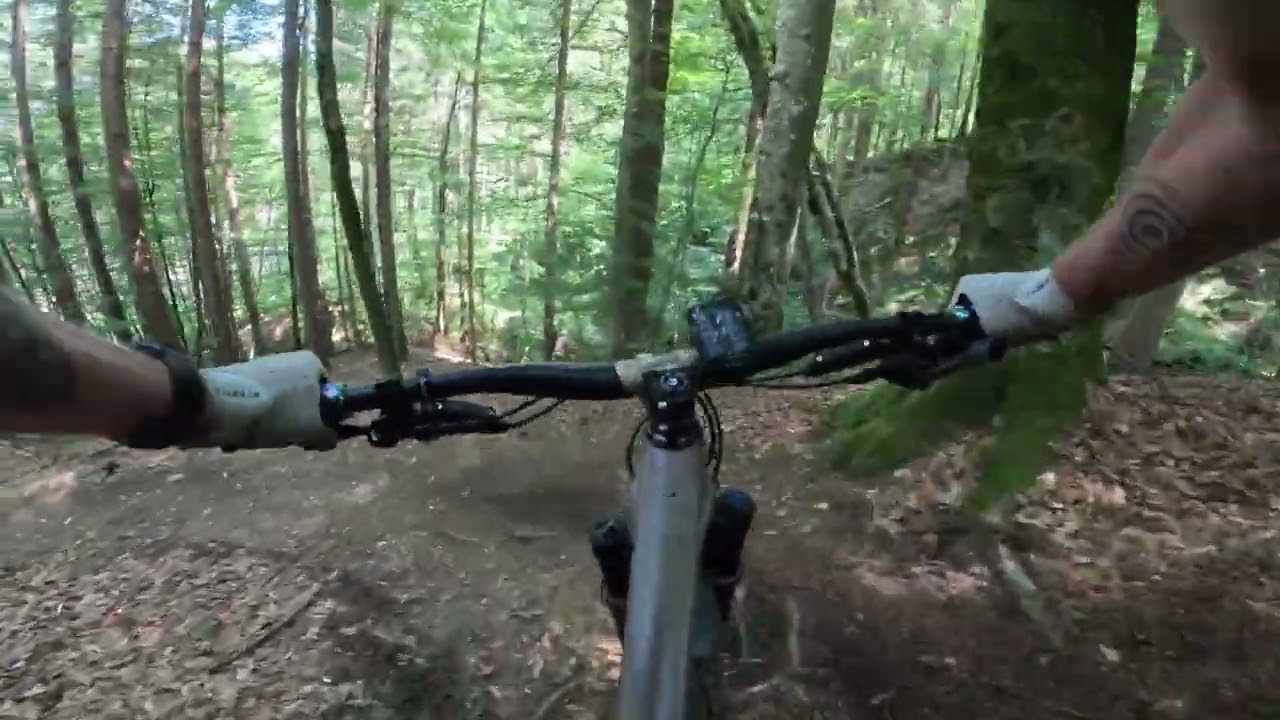 Parthy Trail - Lake.bike Ossiacher See | Evil Wreckoning LS