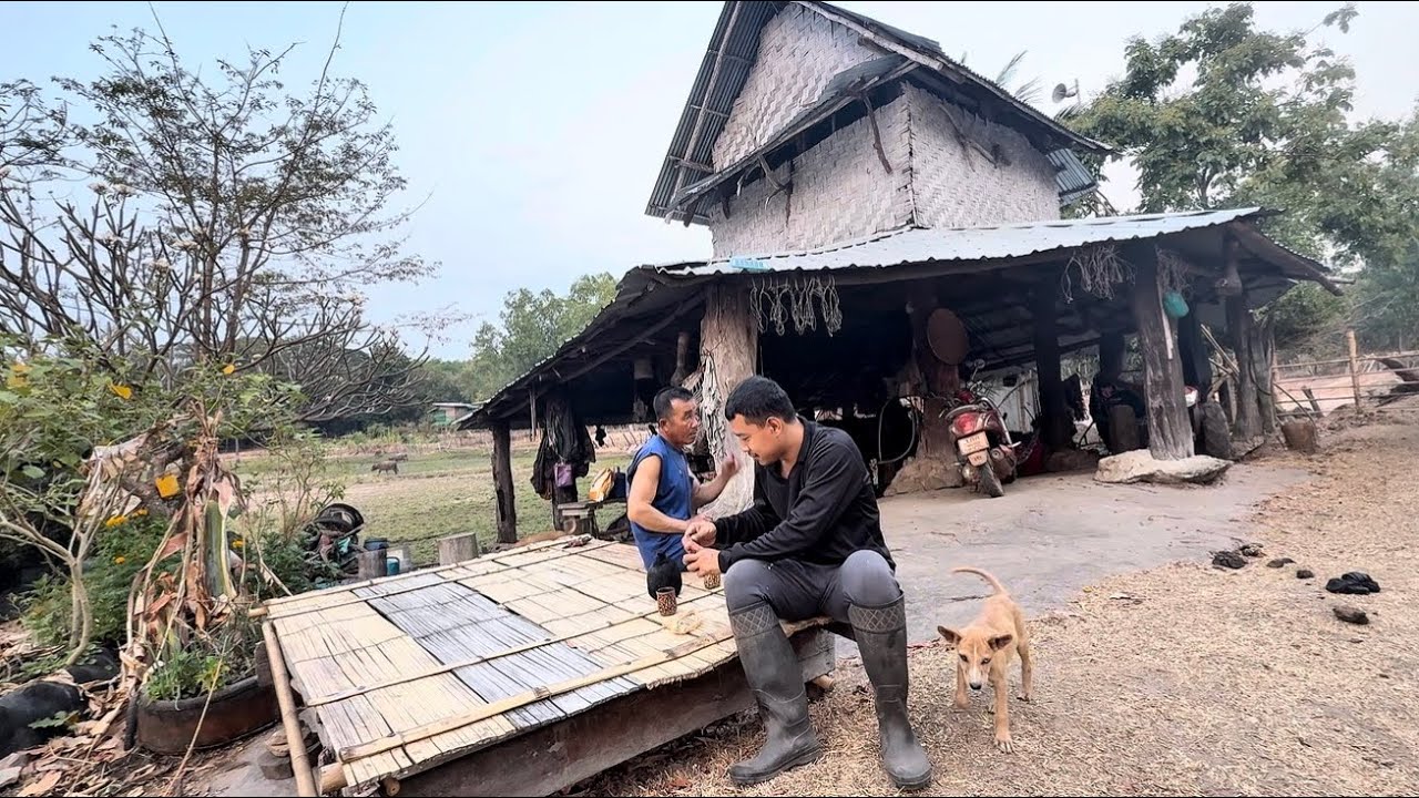เก็บผักหวานป่าที่กระท่อมกลางหุบเขาลุงบูรณ์