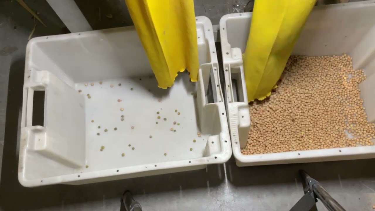 Seleccionadora óptica de color Wenyao | AgroAnuncios.es