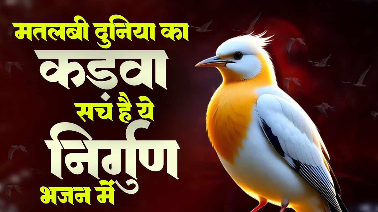 सबसे ज्यादा सुने जाने वाले निर्गुण भजन | Nirgun Satsangi Bhajan | Nirgun Vani | Latest Nirgun Bhajan