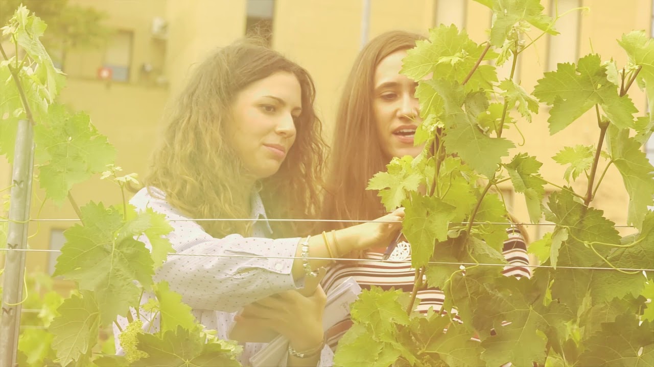 Vídeo Institucional de la Universidad de Extremadura
